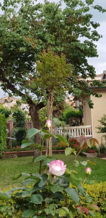 הוילה מונטיצ'יאנו La Casa Di Gigliola מראה חיצוני תמונה
